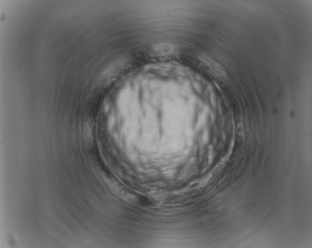 X0000074290662200609081853