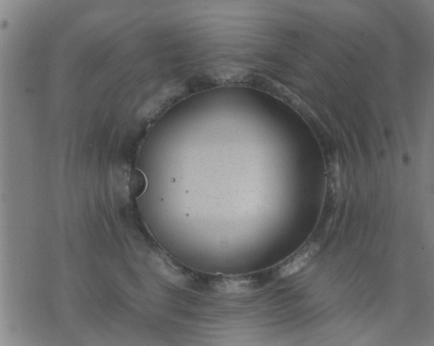 X0000074290664200609081853