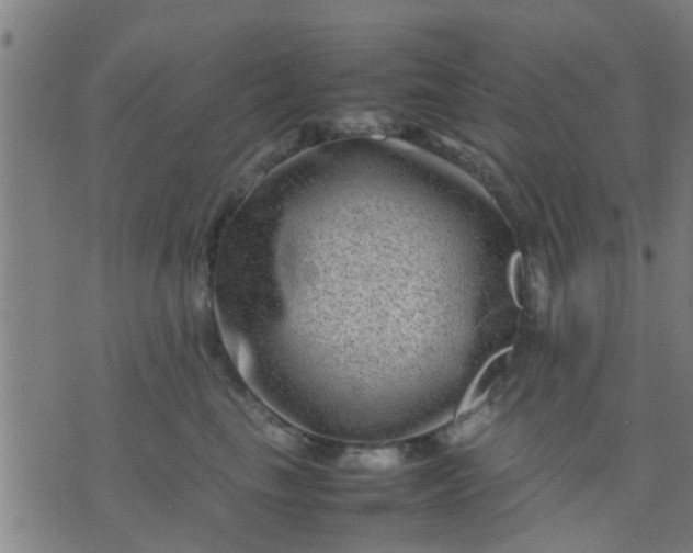 X0000074290665200609081853