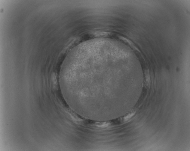 X0000074290667200609081853