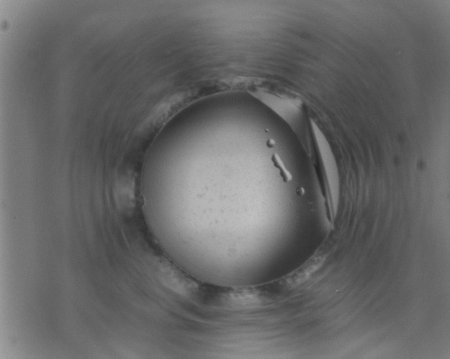 X0000074290668200609081853