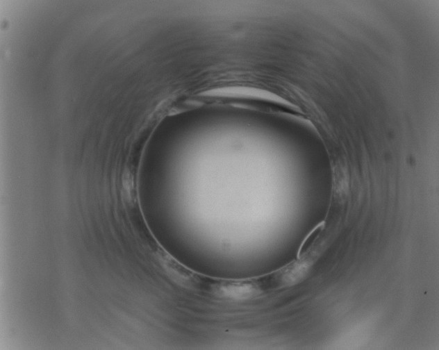 X0000074290669200609081853