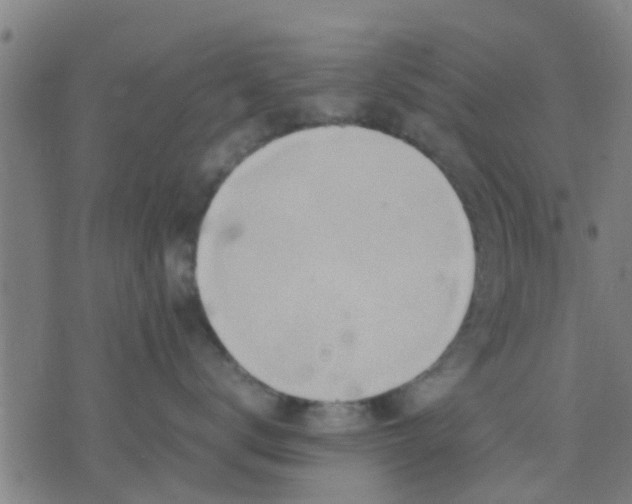 X0000074290672200609081853