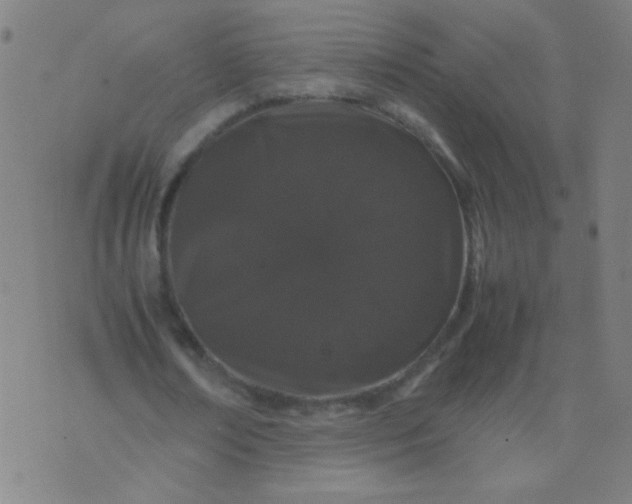 X0000074290674200609081853