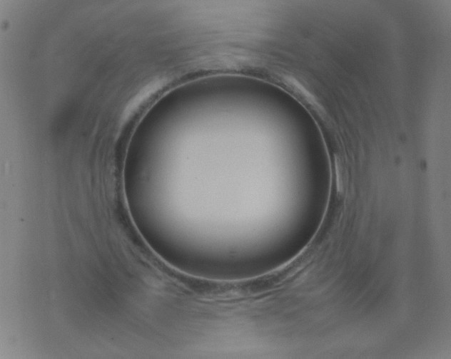 X0000074290675200609081852