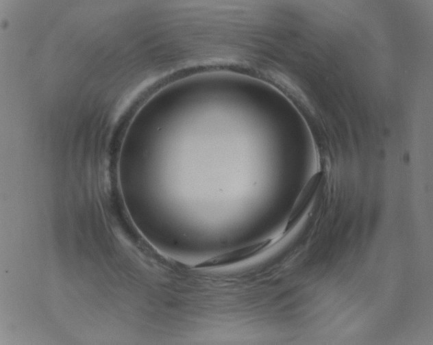 X0000074290676200609081852