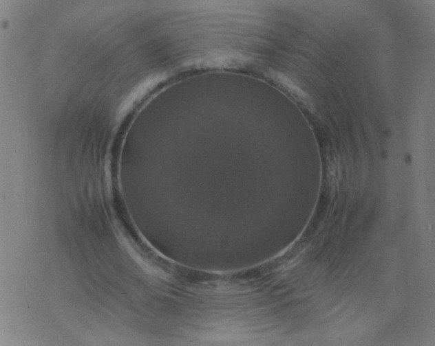 X0000074290678200609081852