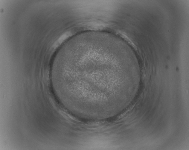 X0000074290679200609081852