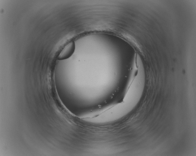 X0000074290680200609081852