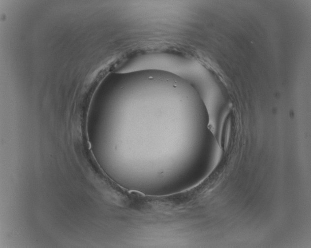 X0000074290681200609081852