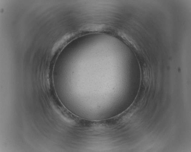 X0000074290682200609081852