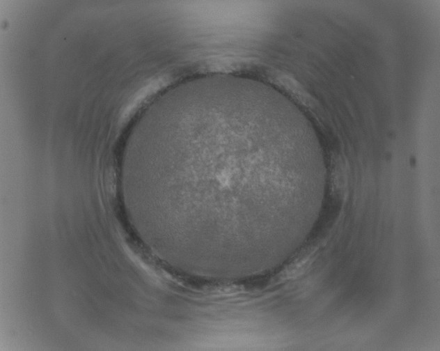 X0000074290683200609081852