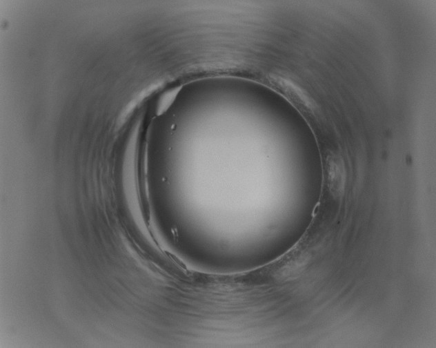 X0000074290684200609081852