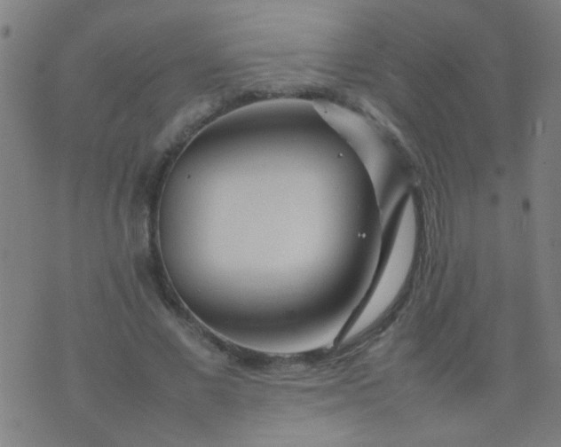 X0000074290685200609081852