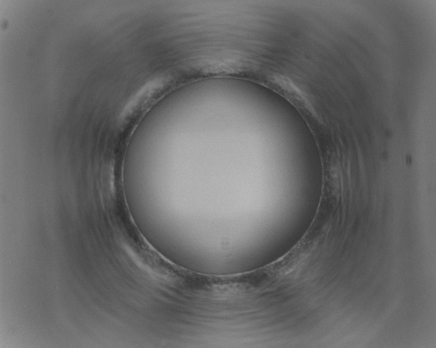 X0000074290686200609081852