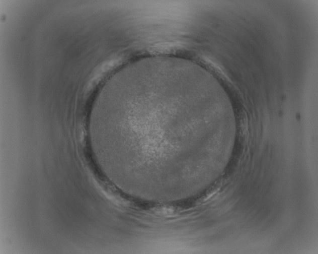 X0000074290687200609081852