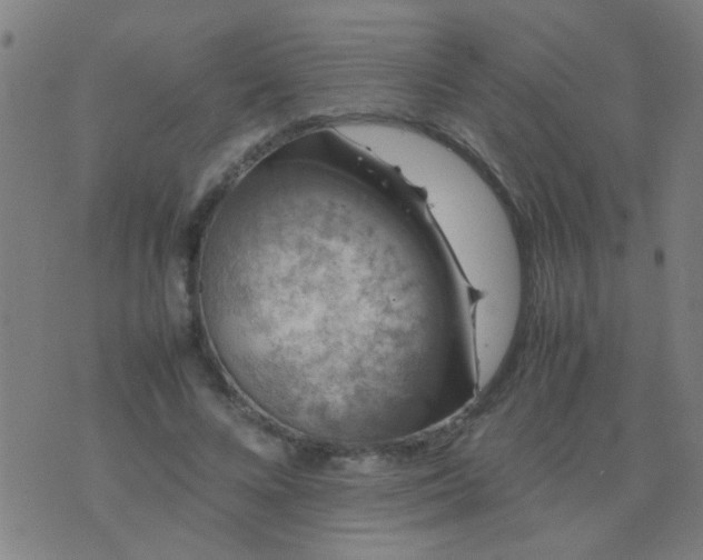 X0000074290688200609081852