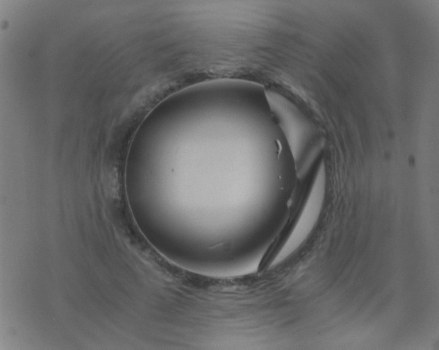 X0000074290689200609081852