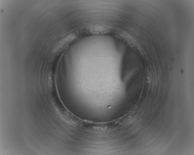 X0000074290690200609081852