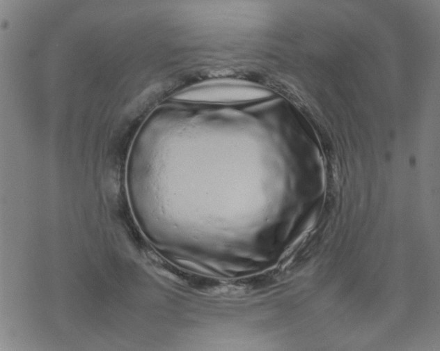 X0000074290691200609081852