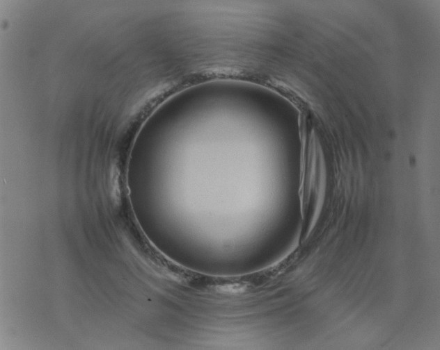 X0000074290692200609081852