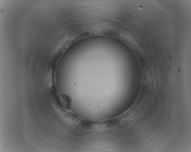 X0000074290694200609081852