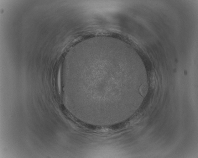 X0000074290695200609081852