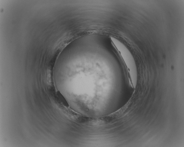 X0000074290696200609081852