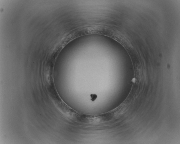 X0000074290698200609081852