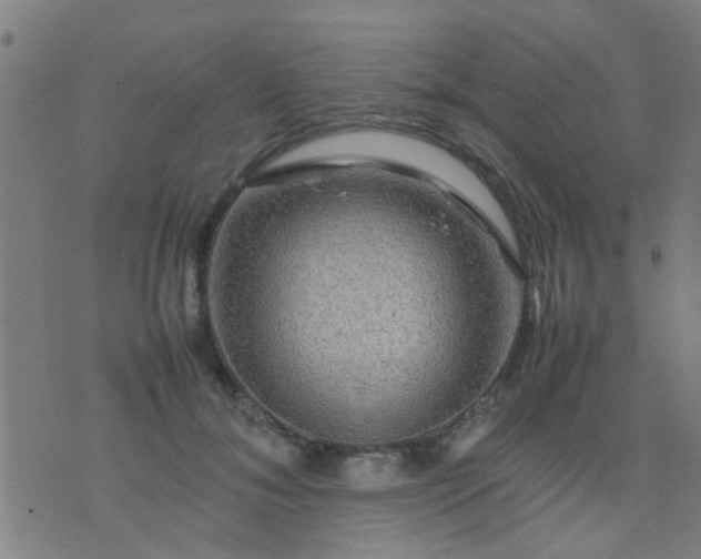 X0000074290700200609081852