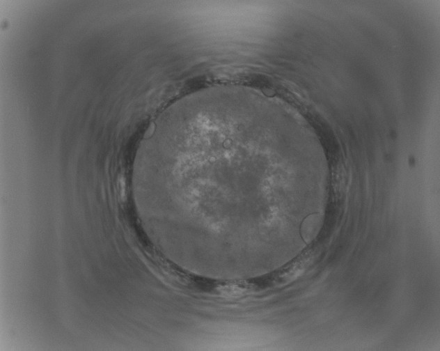 X0000074290703200609081852