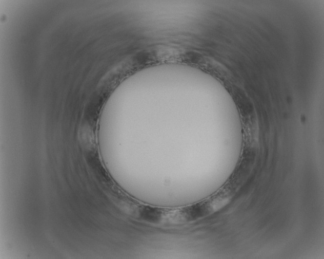 X0000074290705200609081852