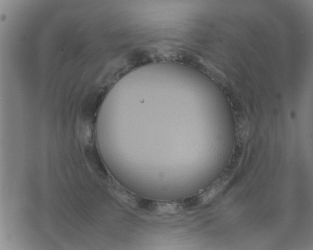 X0000074290709200609081852