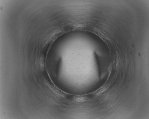 X0000074290710200609081852