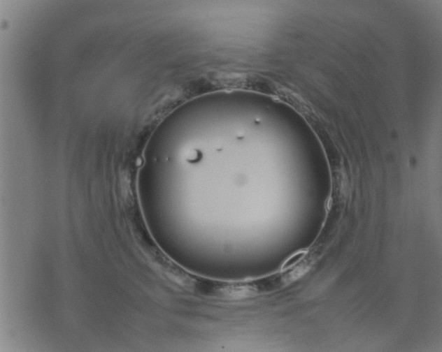 X0000074290711200609081852