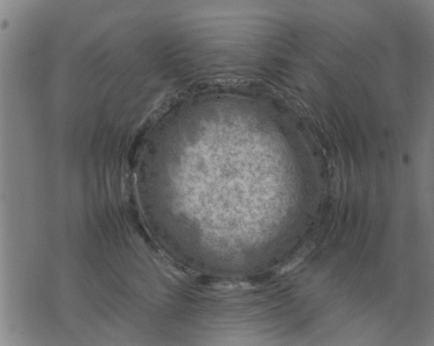 X0000074290712200609081852