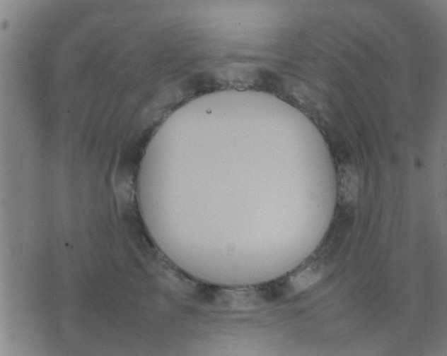 X0000074290713200609081852