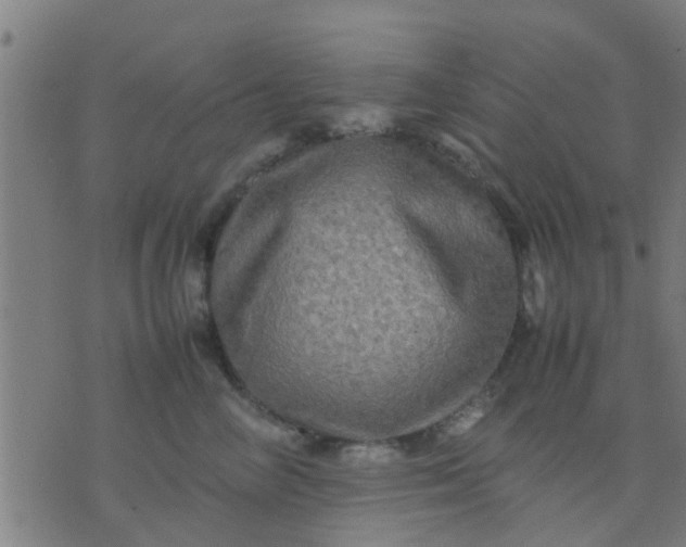 X0000074290714200609081852