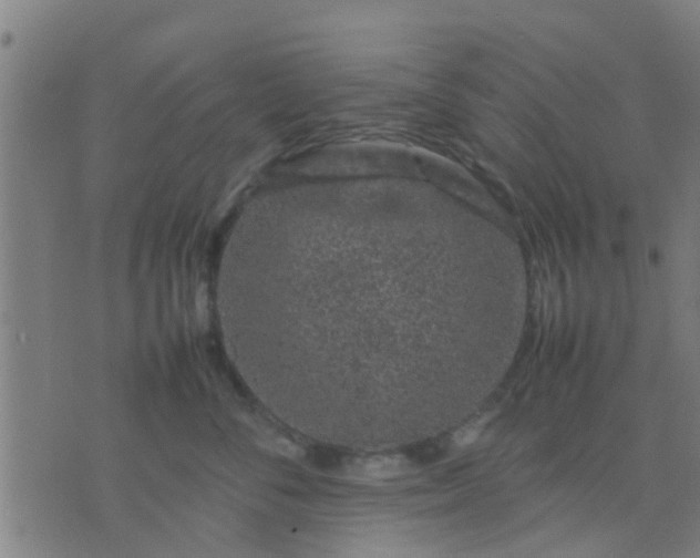 X0000074290716200609081852