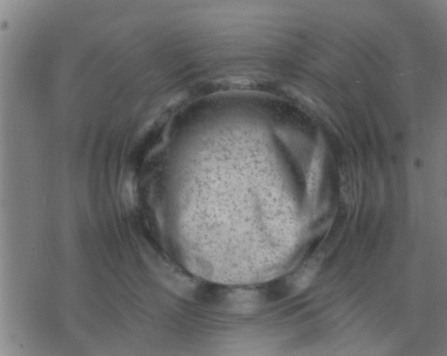 X0000074290718200609081852