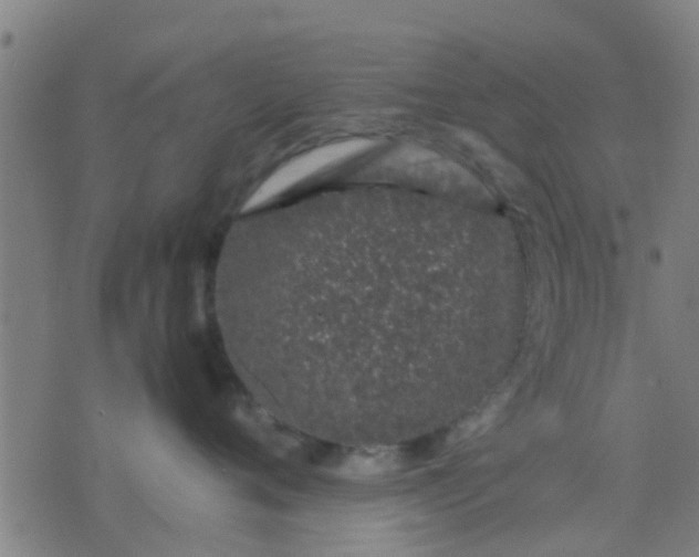 X0000074290720200609081852