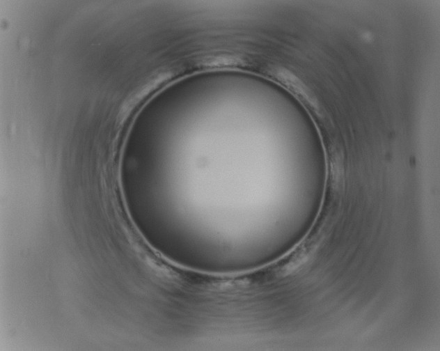 X0000074290721200609081851