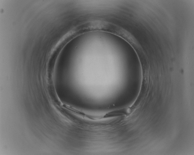 X0000074290722200609081851