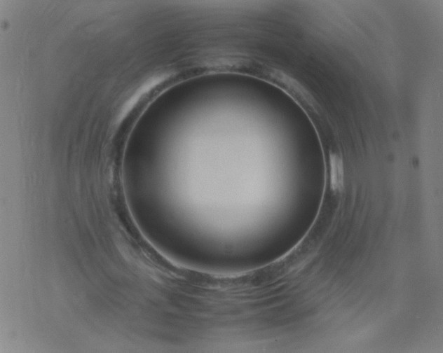 X0000074290723200609081851