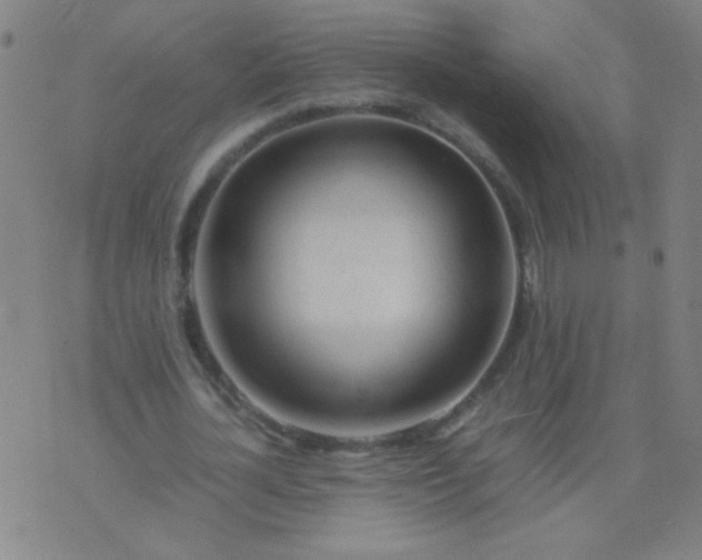 X0000074290724200609081851