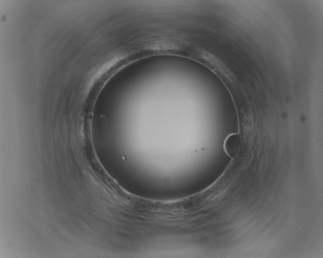 X0000074290727200609081851