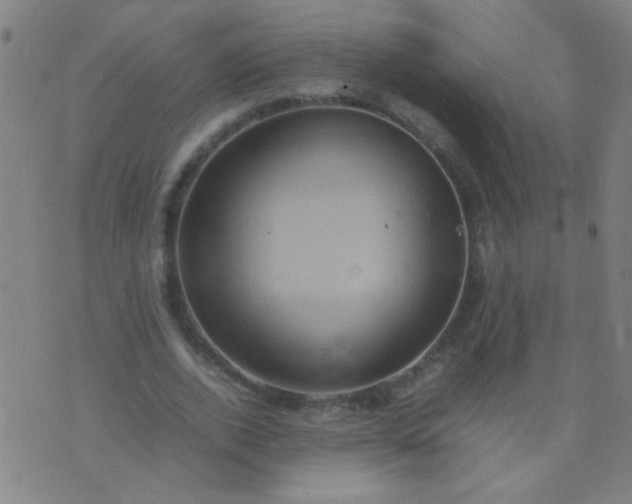 X0000074290728200609081851