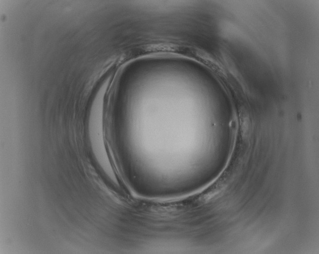 X0000074290729200609081851