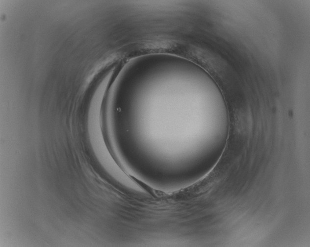 X0000074290731200609081851