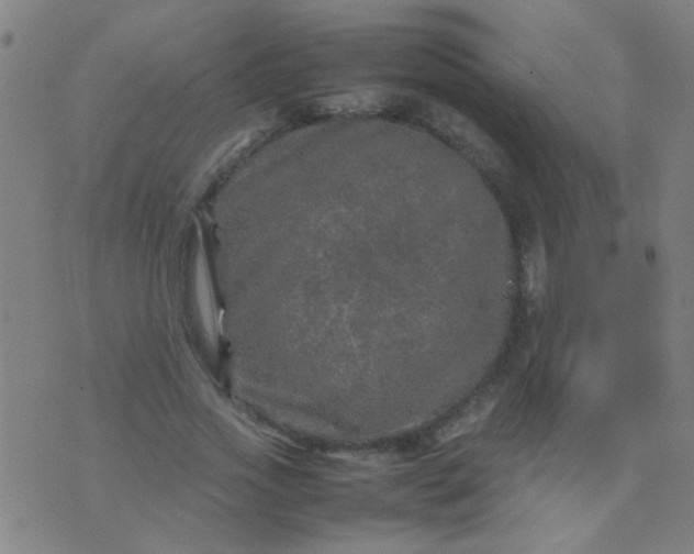 X0000074290733200609081851